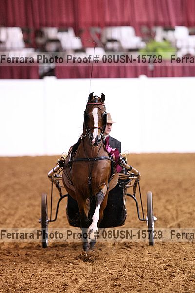 Proof 08usn-15729