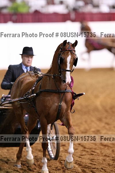 Proof 08usn-15735