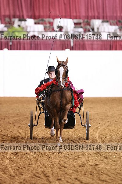 Proof 08usn-15748