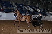 08usn-06905 proof