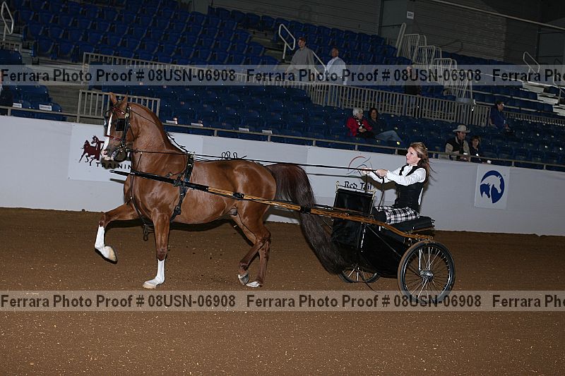 Proof 08usn-06908
