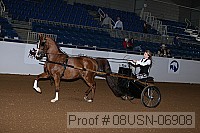 08usn-06908 proof