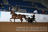 08usn-06909 proof