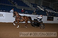 08usn-06914 proof