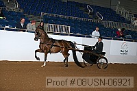 08usn-06921 proof