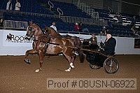 08usn-06922 proof