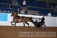 08usn-06924 proof