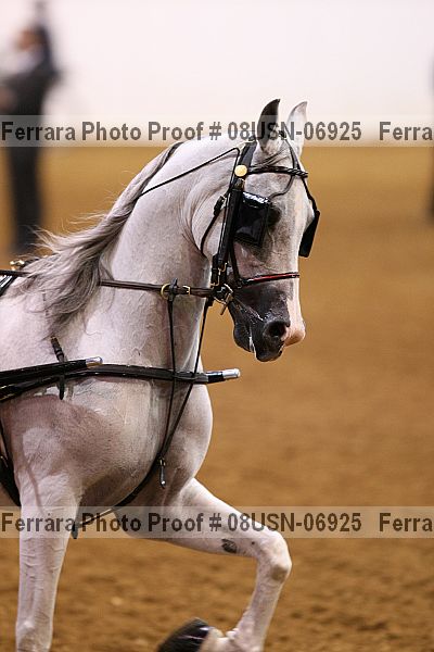 Proof 08usn-06925