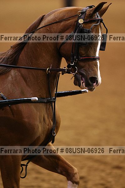 Proof 08usn-06926