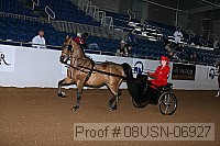 08usn-06927 proof