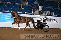 08usn-06929 proof