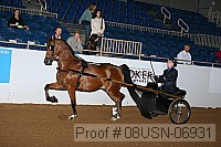 08usn-06931 proof