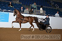 08usn-06932 proof