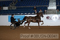 08usn-06941 proof