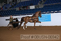 08usn-06942 proof