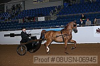 08usn-06945 proof