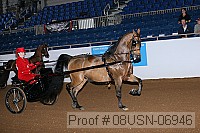 08usn-06946 proof