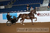 08usn-06948 proof