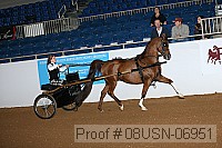 08usn-06951 proof