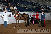08usn-06954 proof