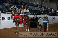08usn-06962 proof
