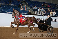 08usn-06982 proof
