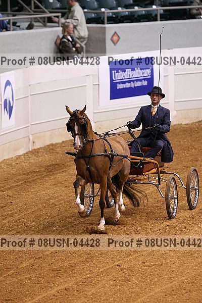 Proof 08usn-04428