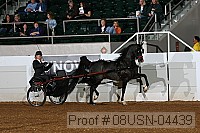 08usn-04439 proof