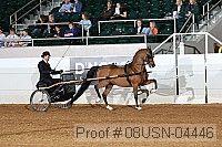 08usn-04446 proof