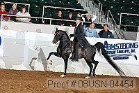 08usn-04454 proof