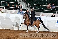 08usn-04456 proof