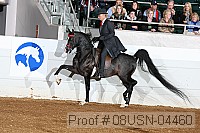 08usn-04460 proof