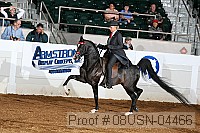08usn-04466 proof