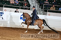 08usn-04467 proof