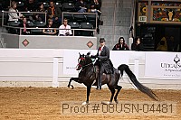 08usn-04481 proof