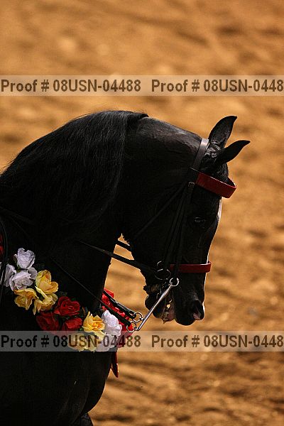 Proof 08usn-04488