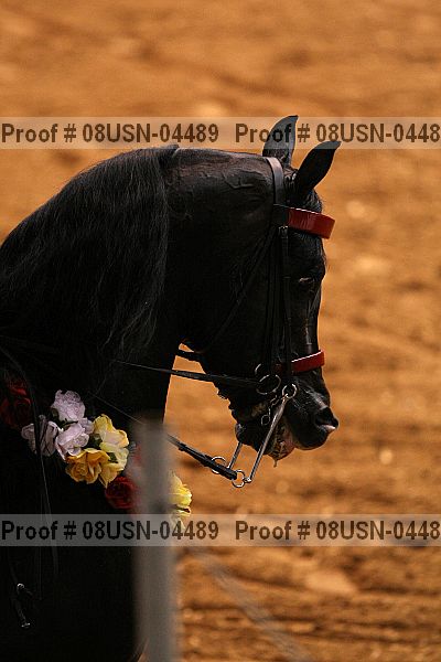Proof 08usn-04489