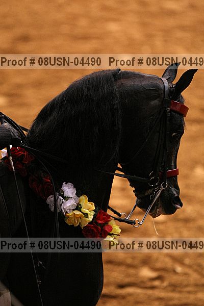Proof 08usn-04490