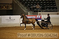 08usn-s04294 proof