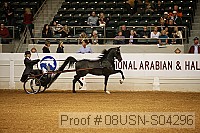 08usn-s04296 proof