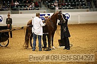 08usn-s04297 proof
