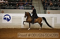 08usn-s04299 proof