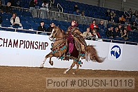 08usn-10118 proof