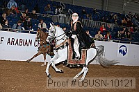 08usn-10121 proof