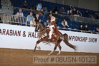 08usn-10123 proof