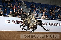 08usn-10131 proof