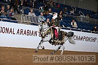 08usn-10136 proof