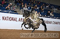 08usn-10140 proof
