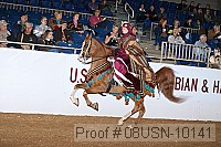 08usn-10141 proof