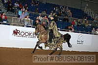 08usn-08193 proof